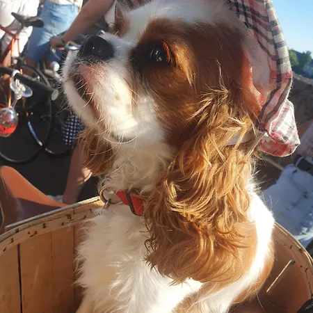 La Bk'ne 2 A 4 Personnes *