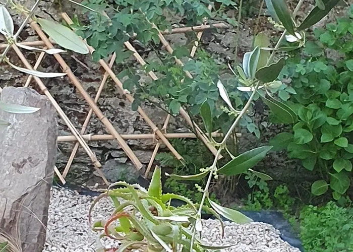 La Bk'ne 2 A 4 Personnes דירה *