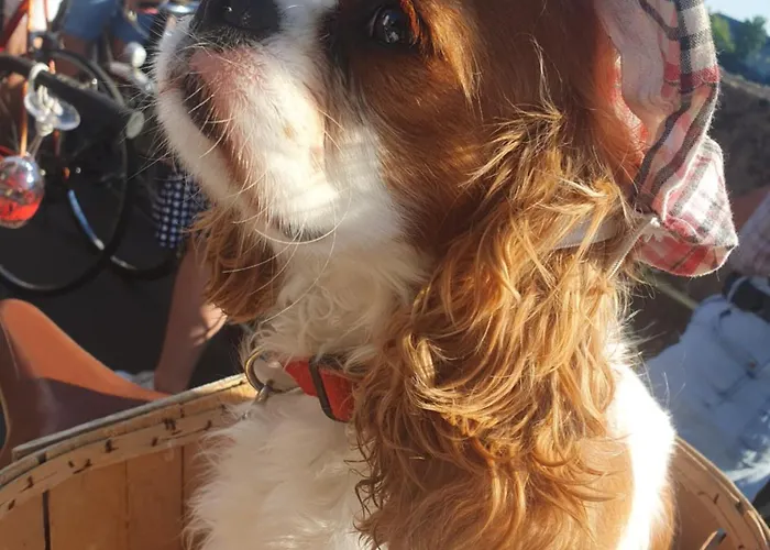 La Bk'ne 2 A 4 Personnes *